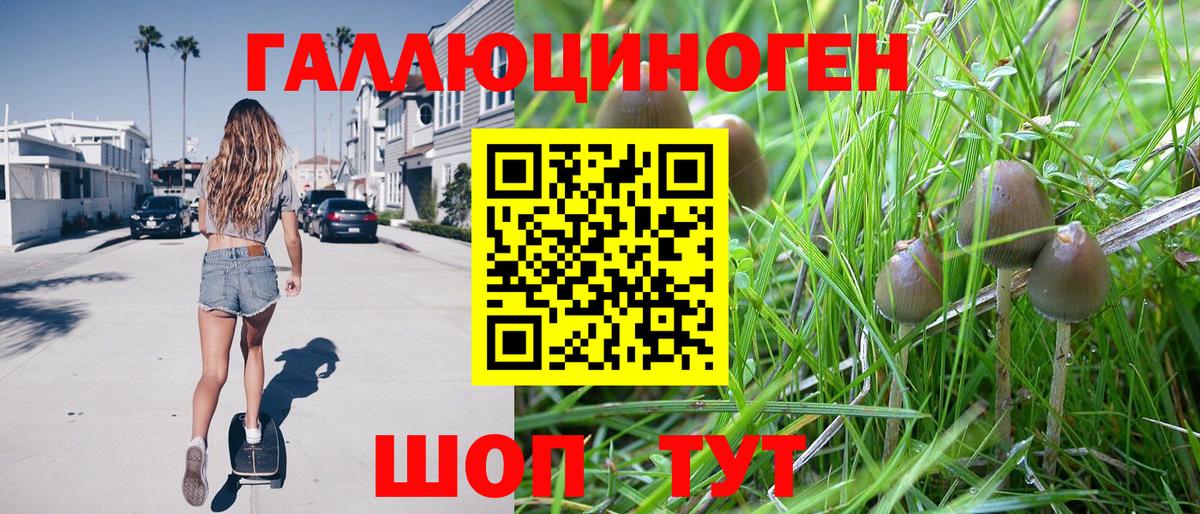 Псилоцибиновые грибы Psilocybine cubensis Соль-Илецк