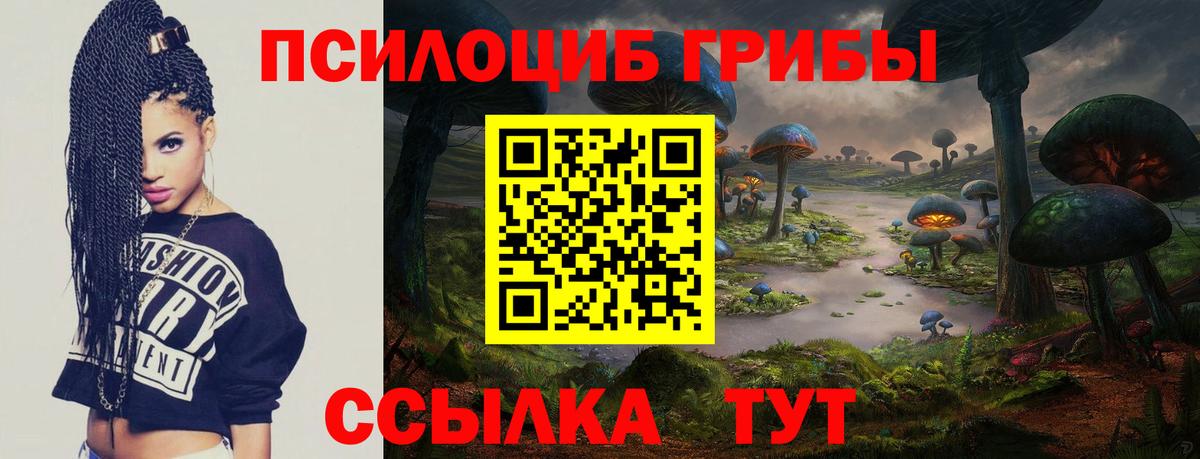 Галлюциногенные грибы MAGIC MUSHROOMS  Псилоцибиновые грибы мухоморы  Соль-Илецк  Вход с VPN 